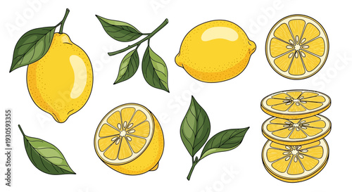 lemon fruit illustrations, fresh citrus, sliced lemons, green leaves, healthy food