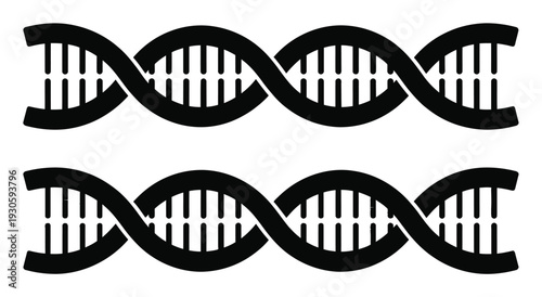 DNA Double Helix Structure Vector Illustration