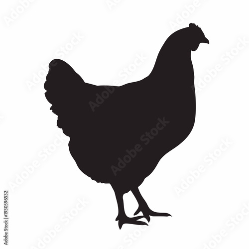 Majestic black chicken silhouette standing proudly