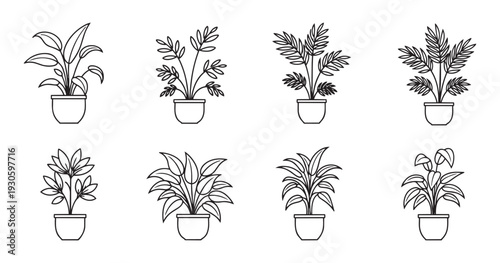 Houseplants set vector line art illustration with potted plant collection home decor elements