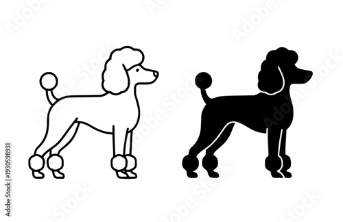 Dog icon, vector illustration of poodle, black and white in outline and silhouette design style