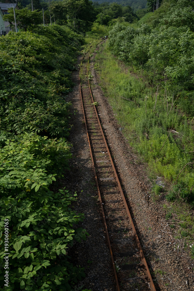 Fototapeta premium 田舎の廃線になった線路