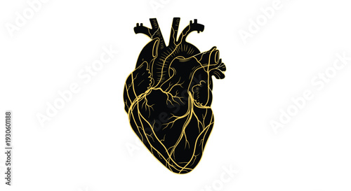 Anatomically correct human heart illustrated in solid black with elegant golden arteries and veins on a clean white background.