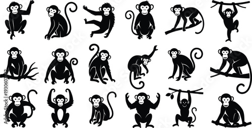 Animal silhouette collection, wildlife vector icons, lion, deer, cat, bird, wolf, lizard, rabbit, elephant, fish, nature symbols, black graphics, zoo, fauna.