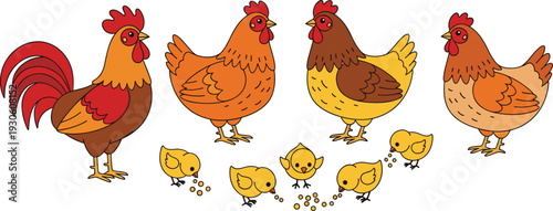 Cute cartoon chicken family with rooster, hens and chicks eating grain, farm animals illustration isolated on white background