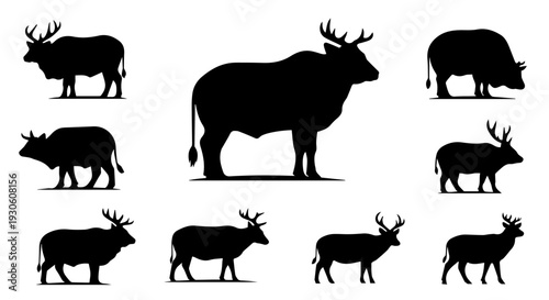 Collection of diverse silhouettes of bulls and cows, captured in various poses showcasing their powerful and graceful forms