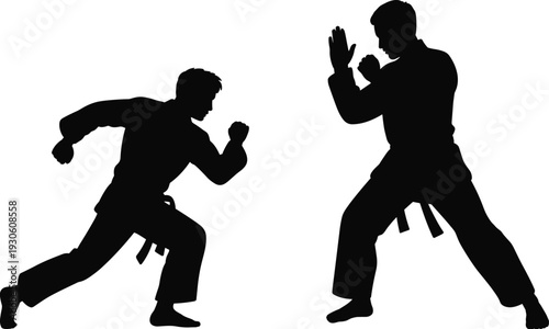 Two martial artists in silhouette engaged in a dynamic combat stance against a white background martial arts