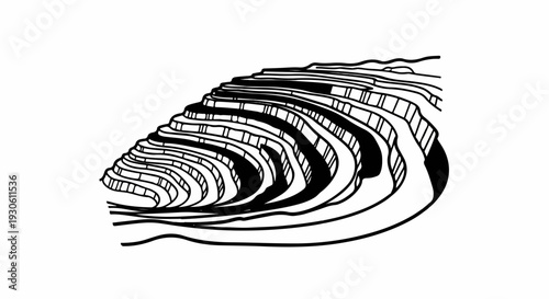 Stylized line drawing of agricultural terraces in a landscape