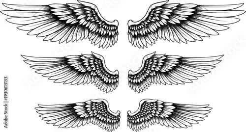 Detailed Angel Wings Engraving Set with Vintage Feathered Bird Wings Spread and Folded Gothic Tattoo Style Vector Illustration Collection