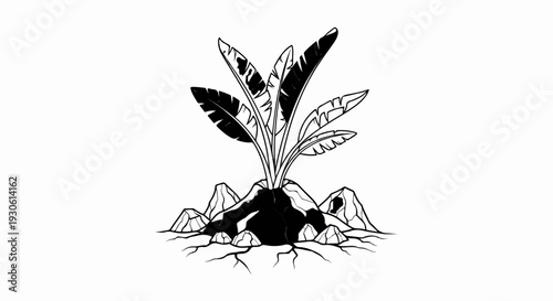 Stylized illustration of a lush plant erupting from a volcanic mountain