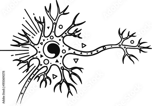 Stylized illustration of a neuron with branching dendrites and axon