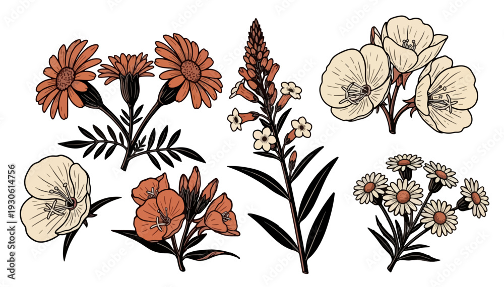 Fototapeta premium Vintage botanical illustration of various wildflowers in earthy tones