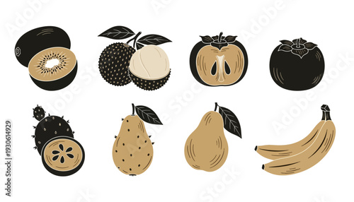 Collection of Hand-Drawn Exotic Fruits in Monochrome Style