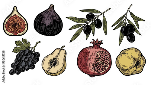 Hand-drawn illustration of fruits including figs, olives, and pomegranate