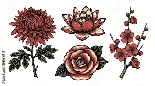 Collection of Vintage Floral Illustrations with Red Blooms and Leaves