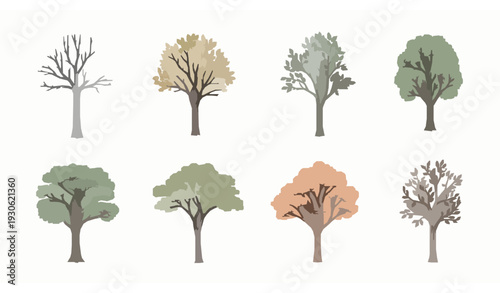 Pastel botanical tree set hand drawn flat vector illustration with bare and lush foliage isolated on white