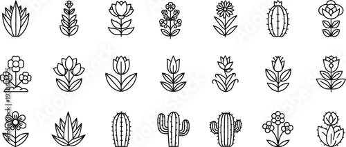 Collection of various cactus and succulent illustrations
