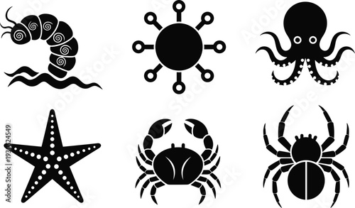 Marine silhouette vector icons, sea creatures collection, octopus crab starfish worm urchin spider, underwater wildlife design, ocean animals illustration