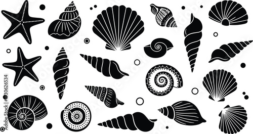 Sea shell and starfish silhouette vector illustration, marine life artwork, beach decorative design, oceanic pattern drawing, coastal nature concept art