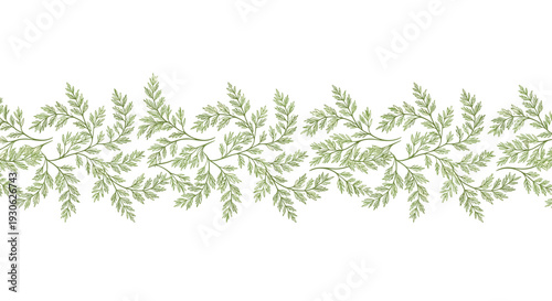 Decorative horizontal border made of small green fern leaves and delicate branches repeats in a seamless pattern on white.