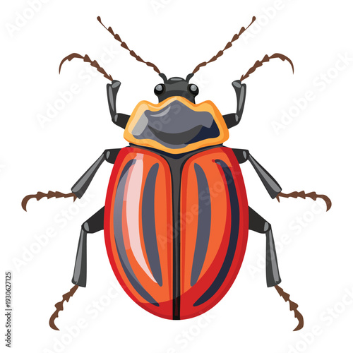 Colorful insect illustration with detailed body and antennae