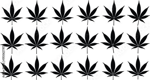 Set of cannabis marijuana leaf black silhouettes in various shapes and sizes for medical, herbal, nature, and hemp vector designs,
