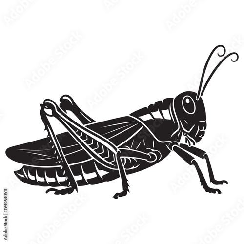 Stylized Black and White Grasshopper Illustration on White Background