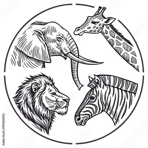 African safari animals head collection elephant giraffe lion zebra vintage sketch illustration in circle, wildlife portrait, zoology