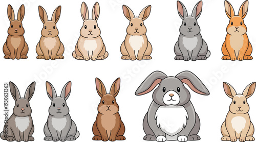 Cute rabbit cartoon collection with different fur colors sitting bunny characters adorable pet animal vector illustration set