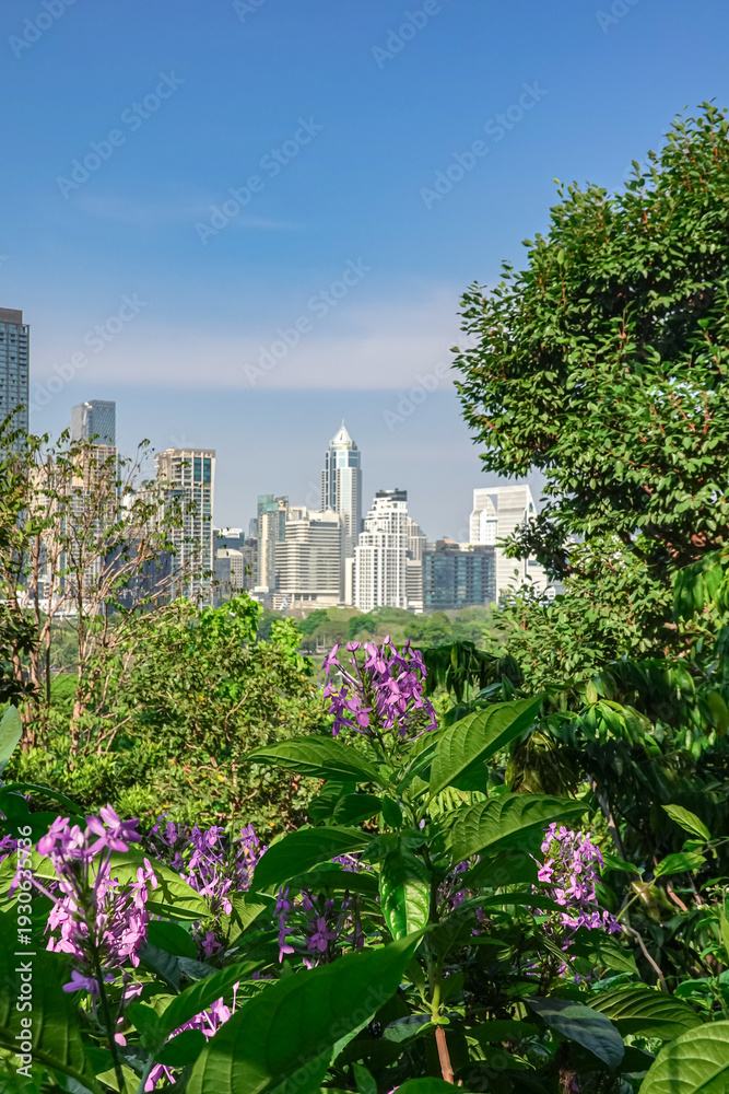Fototapeta premium Bangkok city skyline viewed from Lumphini Park green area modern urban building s in Dusit Arun Central Park district in the background, representing green city concept, urban nature balance.