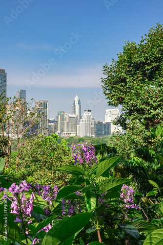 Bangkok city skyline viewed from Lumphini Park green area modern urban building s in Dusit Arun Central Park district in the background, representing green city concept, urban nature balance.