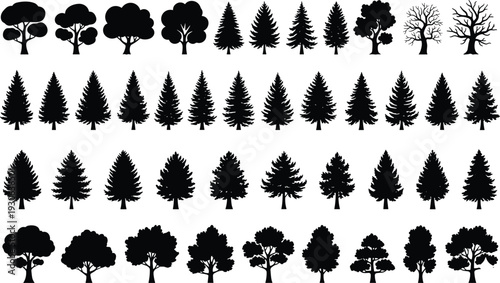 Tree silhouette vector illustration with diverse deciduous coniferous and bare forms showing natural diversity