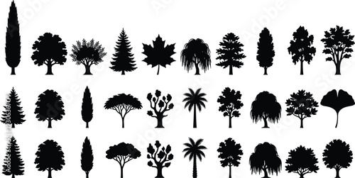 Tree silhouette vector illustration with diverse deciduous coniferous tropical and unique leaf forms