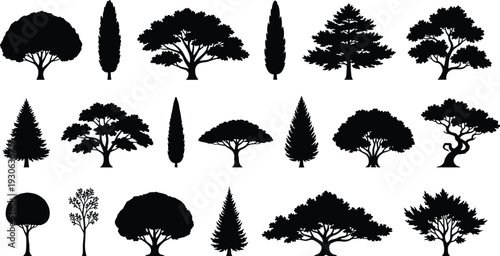 Tree silhouette vector illustration with diverse foliage and trunk shapes showing coniferous and broadleaf forms