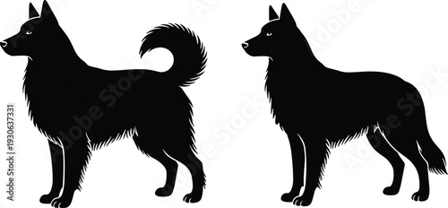 Dog silhouette vector illustration with diverse canine profiles showing fur texture and tail posture—ideal for pet artwork lifestyle branding veterinary design and animal themed creative projects