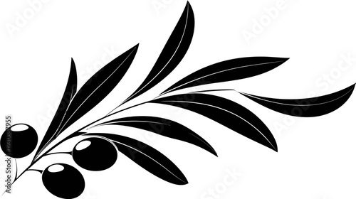 A black and white illustration of an olive branch with olives and leaves