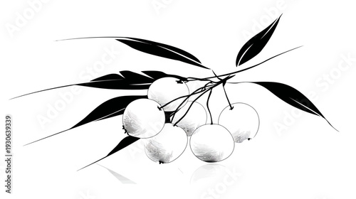 A grayscale, simple illustration of a fruit-bearing branch with leaves and a slight shadow