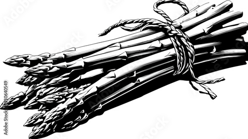 A black and white illustration of fresh asparagus spears, bound together with a rope