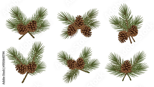 Pine branch set illustrates six different arrangements of green needles and brown pine cones for winter and christmas decorations.