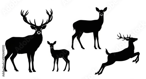 Deer Family Silhouette Illustration Art.