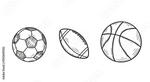 Sports Balls Soccer Football Basketball Illustration
