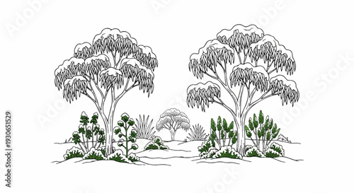 A hand-drawn illustration depicts a winter landscape with snow-covered trees and foliage