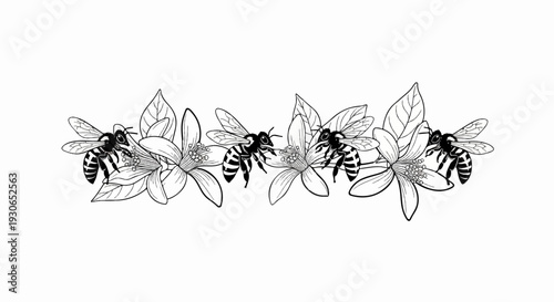 Line art of bees collecting nectar from delicate blossoms, framed by leaves