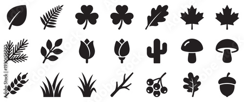 Nature icons collection featuring diverse botanical elements, mushrooms, and other natural forms in a simple silhouette style.