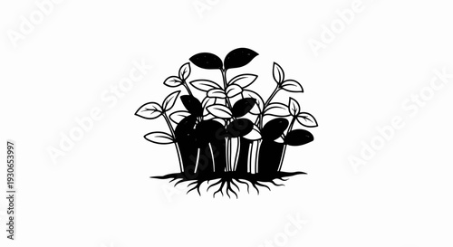 A stylized illustration of a small cluster of seedlings with prominent roots