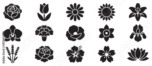 Various flower icons set in a beautiful collection showcasing diverse botanical silhouettes for design elements and decorative purposes.