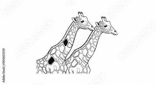 A black and white sketch of two giraffes with patterned necks and faces