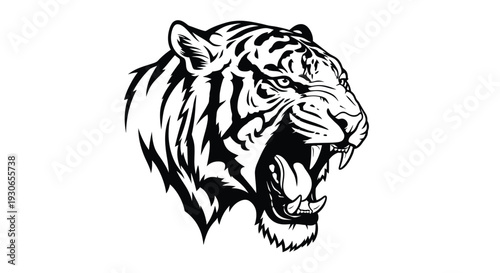 Fierce tiger head with open mouth and sharp teeth black and white illustration on plain background