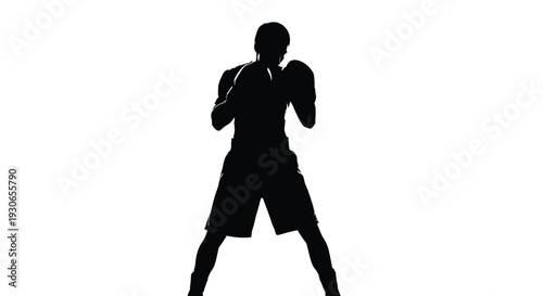 Silhouette of a male boxer in fighting stance with gloves on white background ready for combat sports action