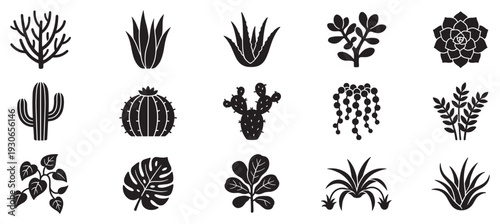 Succulent and cactus plants icons set featuring various botanical silhouettes for modern decorative design elements.